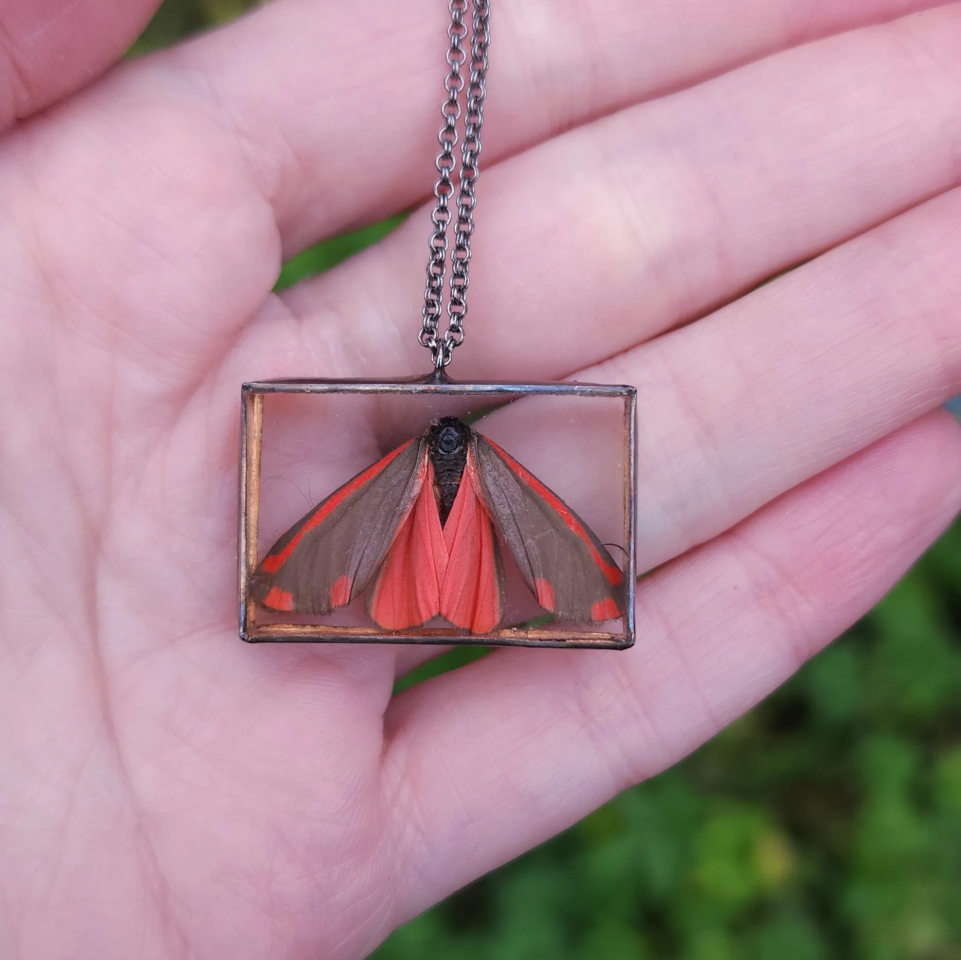 Cinnabar Oregon Moth Necklace