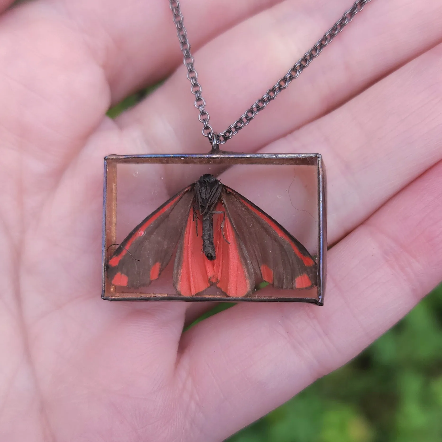 Cinnabar Oregon Moth Necklace