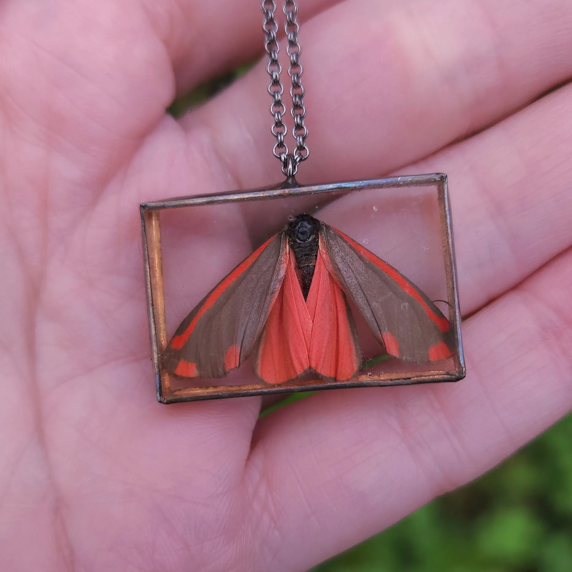 Cinnabar Oregon Moth Necklace