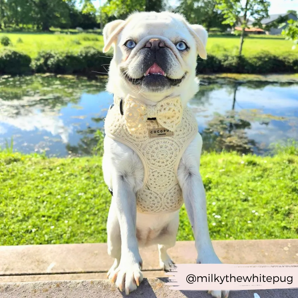 Festival Crochet Bow Tie